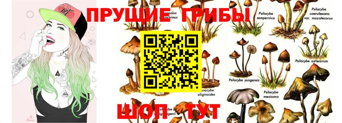 Галлюциногенные грибы мухоморы Альметьевск