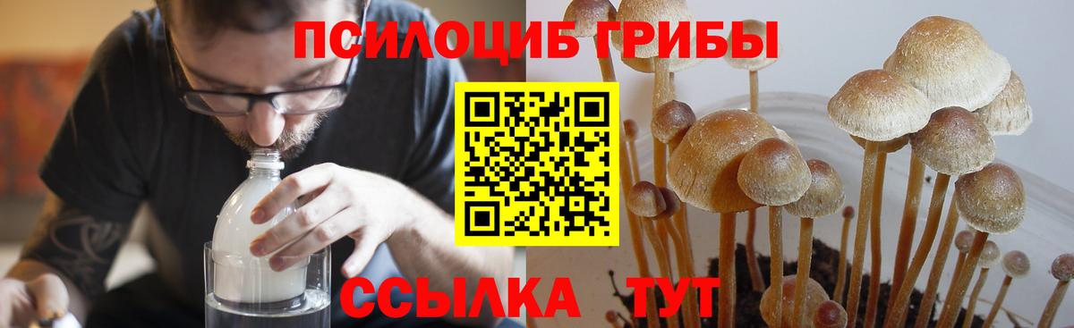 Альметьевск  Галлюциногенные грибы GOLDEN TEACHER  Галлюциногенные грибы прущие грибы  Вход с VPN 